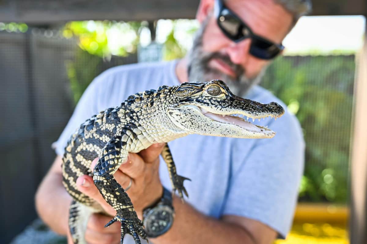 Fort Lauderdale: Florida Everglades Adventure Package Sawgrass Recreation Park