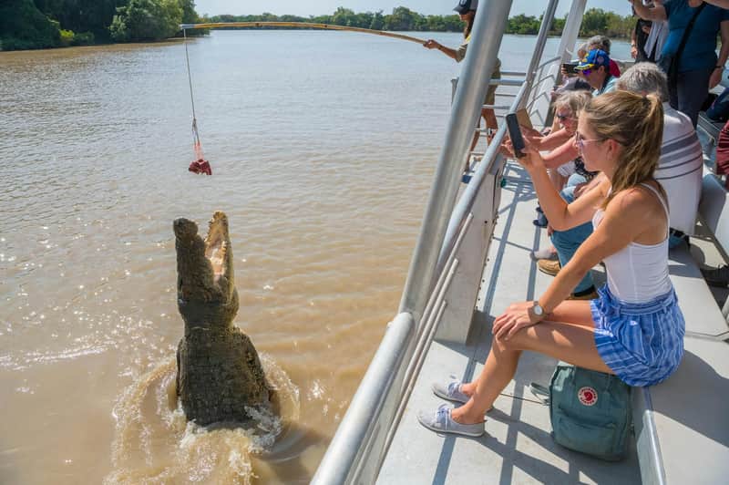 Darwin: Jumping Crocodile Cruise on Adelaide River
