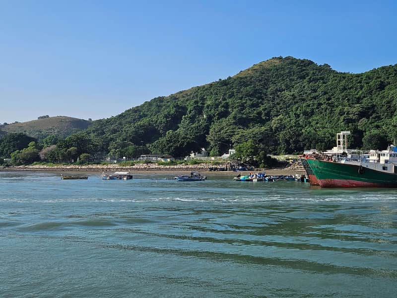 Tai O: 20-Minute Sightseeing Boat Trip